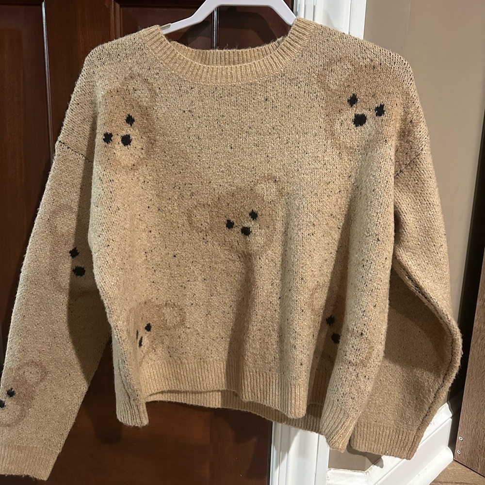Teddy Bear Sweater